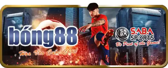 Tổng quan về chính sách 68gb